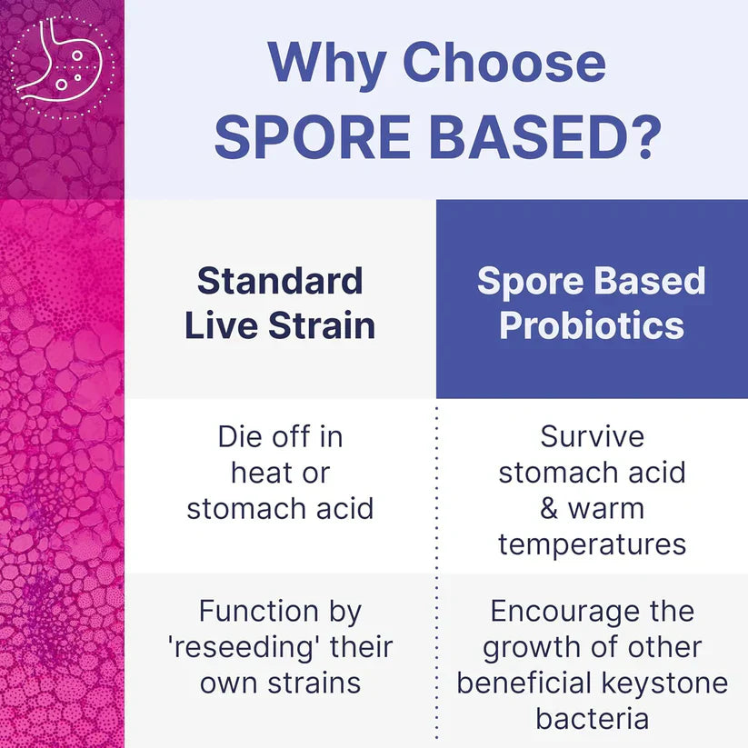 MegaSporeBiotic Probiotics for Women & Men.