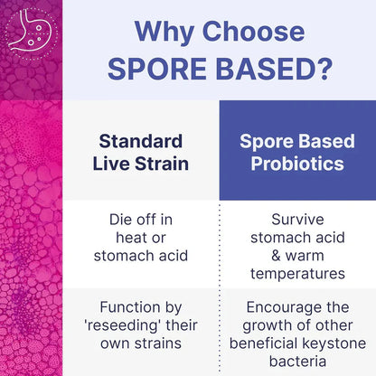 MegaSporeBiotic Probiotics for Women & Men.